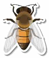 Free vector a sticker template with top view of honey bee isolated