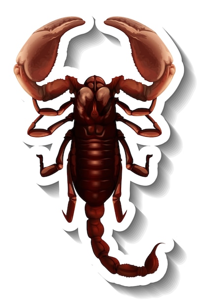 Free vector a sticker template with top view of a scorpion isolated