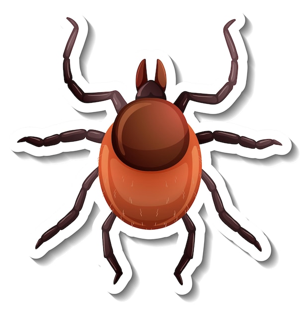 A sticker template with top view of a tick isolated