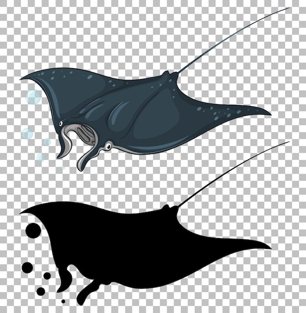 Free Vector stingray with its silhouette on transparent 