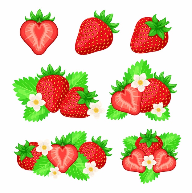 Strawberry with green leaves cartoon illustration set. Fresh ripe red whole and sliced berries with flowers isolated on white background. Healthy food, summer, vitamin concept