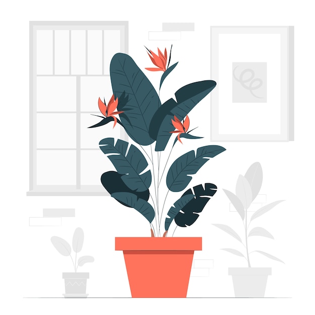 Free vector strelitzia plant  concept illustration