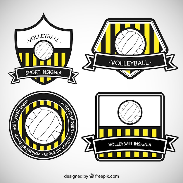 Striped volleyball badges