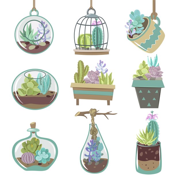 Succulents Icons Set