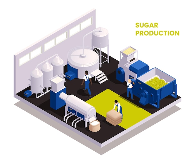 Free vector sugar production isometric composition illustrated the sequence of function of technological process vector illustration