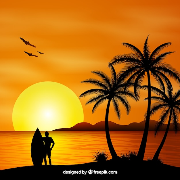 Summer backgroud with sunset and palm trees silhouette