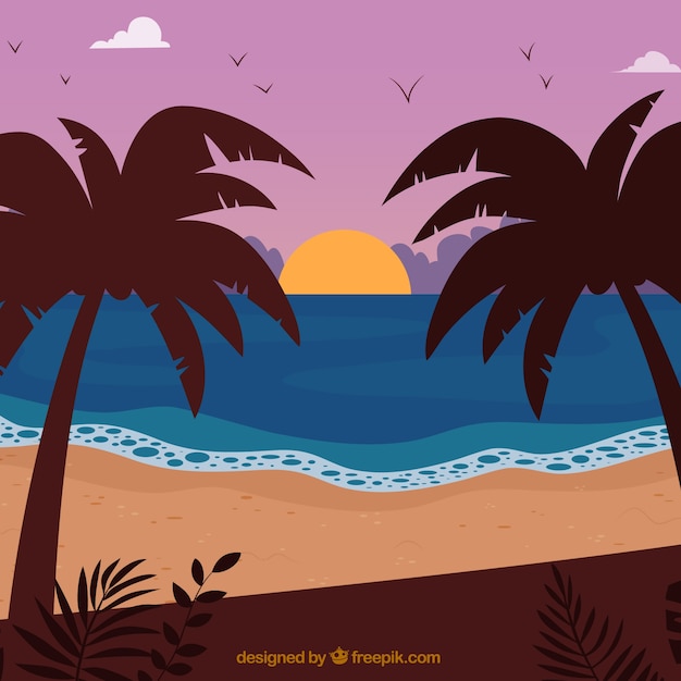 Free Vector summer background at sunset