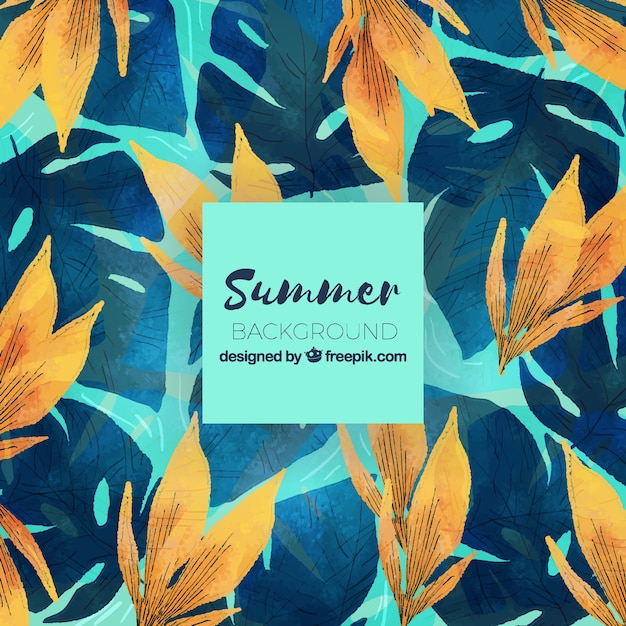 Summer background with different plants