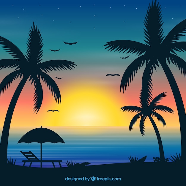 Summer background with sunset and palm trees