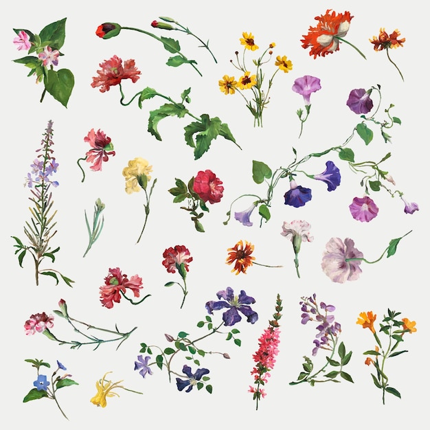 Free vector summer flower set illustration, remixed from artworks by jacques-laurent agasse