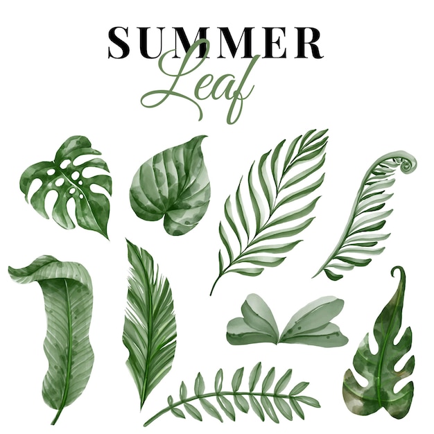 Summer greenery tropical leaf isolated set