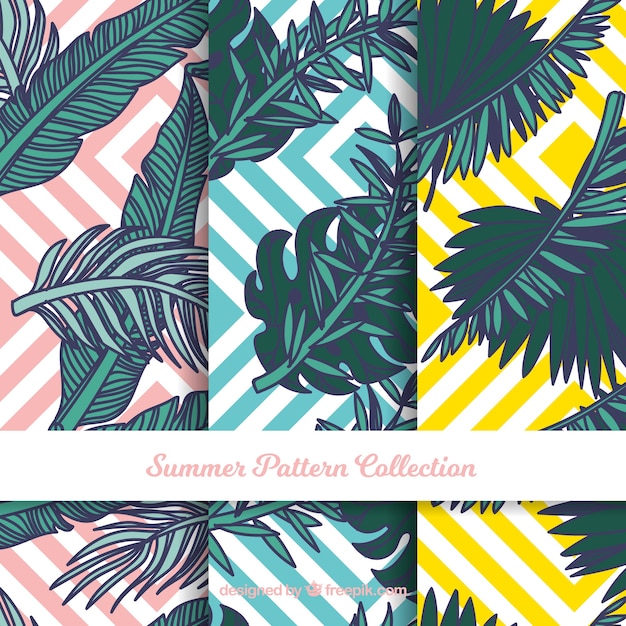 Summer patterns collection with plants