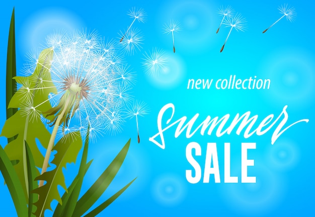 Free Vector summer sale, new collection banner with blowing dandelion on sky blue background.