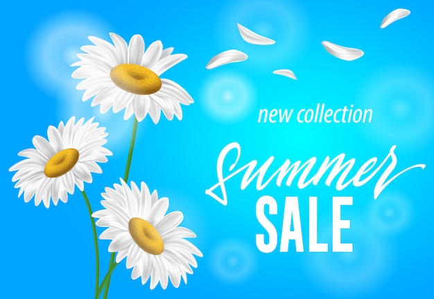 Free Vector summer sale new collection seasonal banner with chamomiles on sky blue background. 