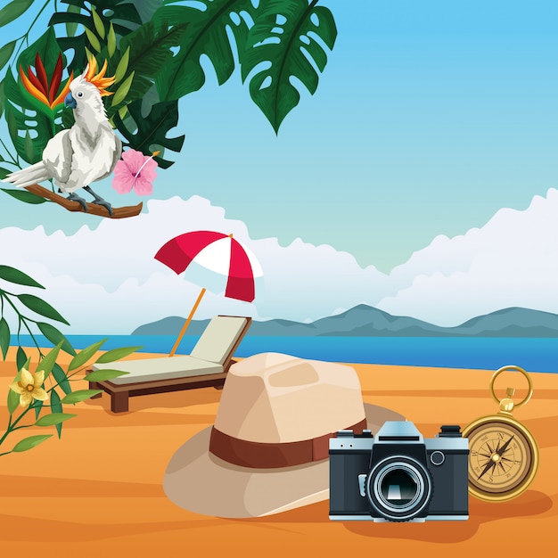 Free Vector summer vacations and beach cartoons.