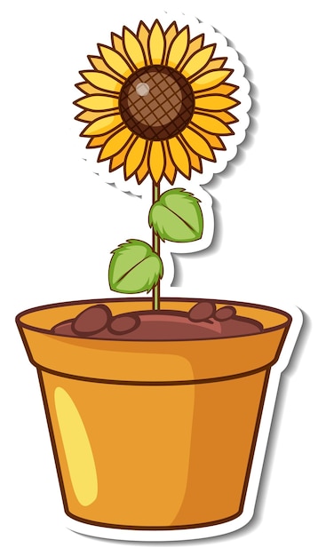 Free Vector a sunflower in a pot sticker