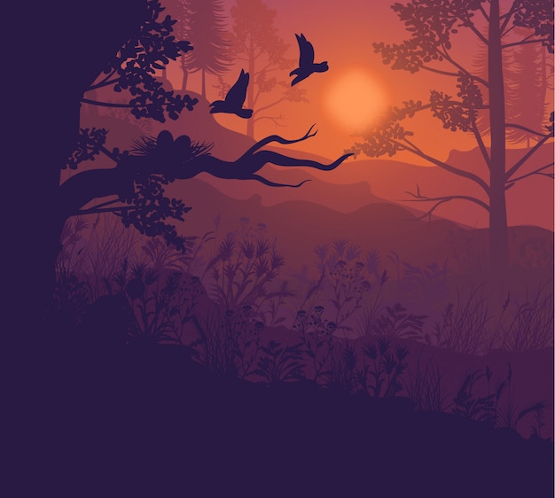 Free vector sunrise forest landscape