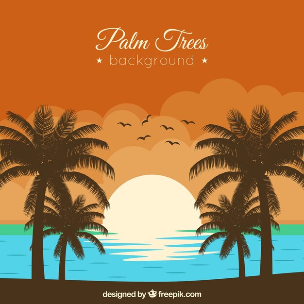 Sunset background on the beach with palm trees