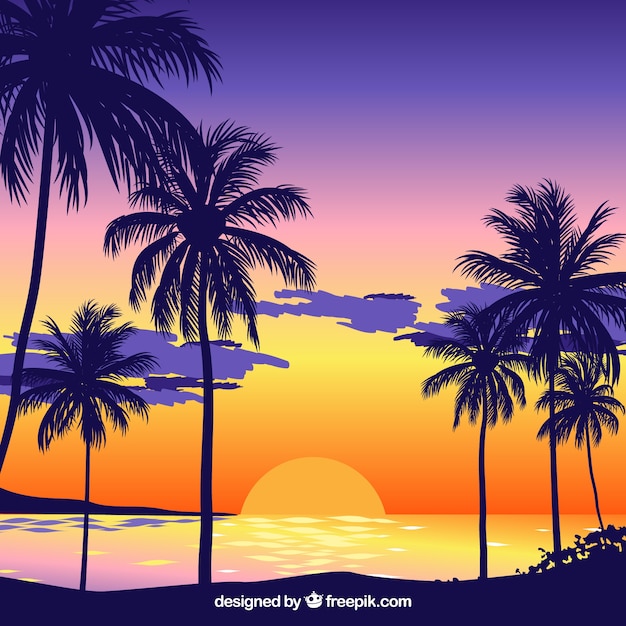 Sunset background on the beach with palm trees