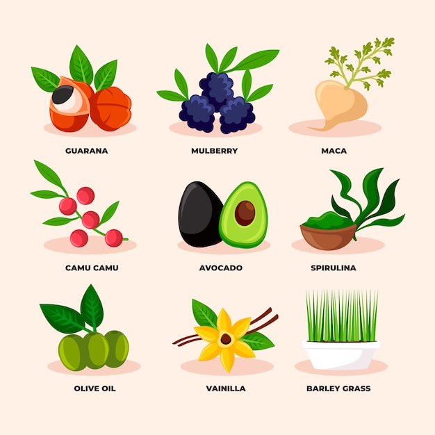 Free Vector superfood collection concept