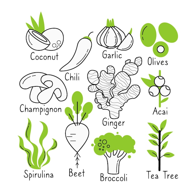 Free vector superfood collection hand drawn design