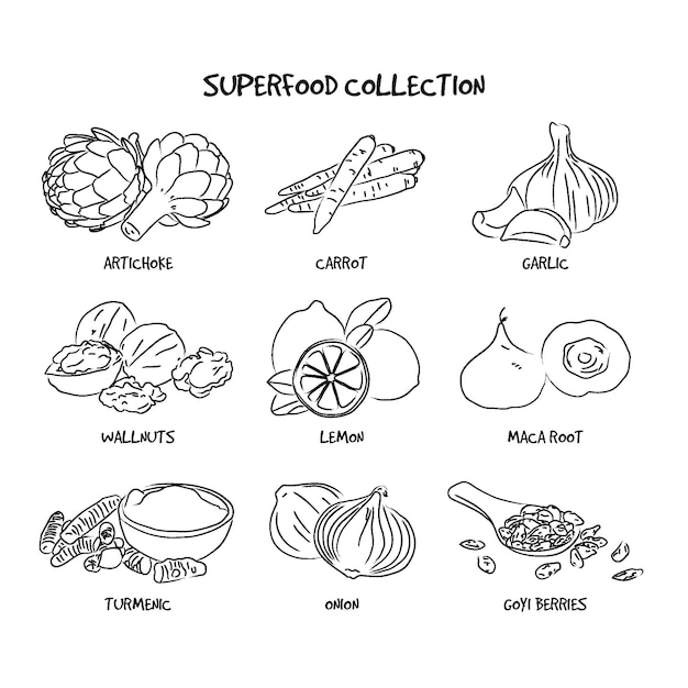 Superfood collection hand drawn design