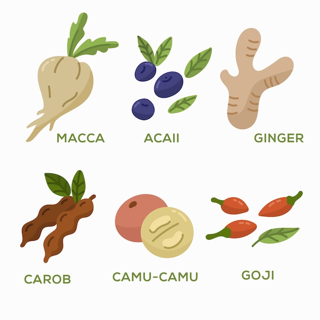 Free Vector superfood collection