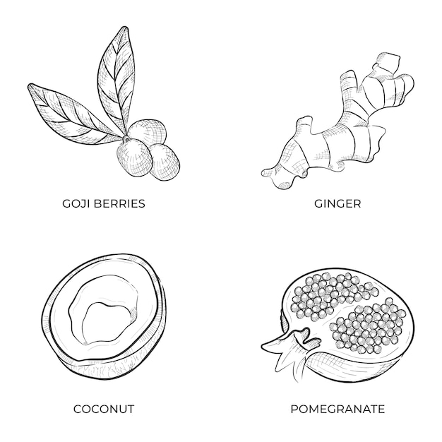 Free Vector superfood collection