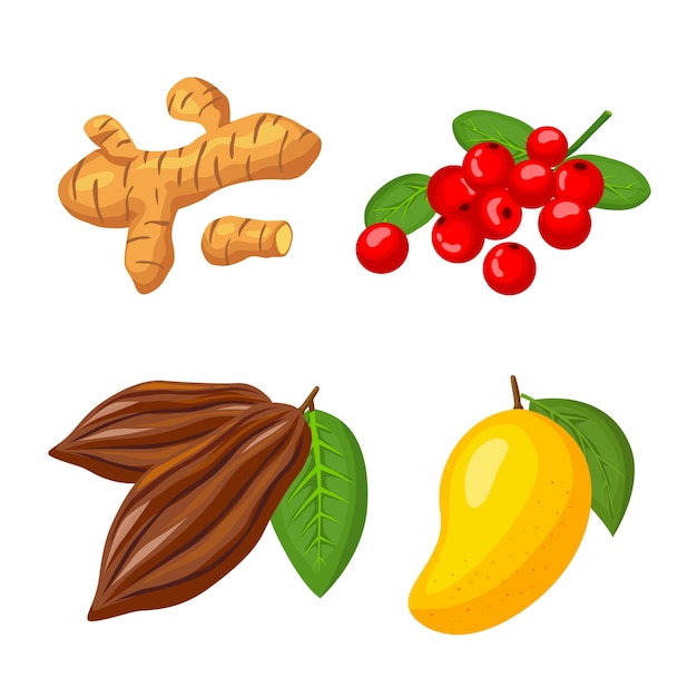 Free Vector superfood collection