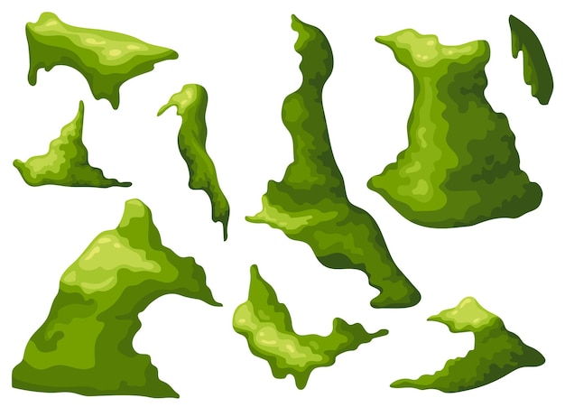 Free vector swamp moss forest lichen marsh plants for computer games