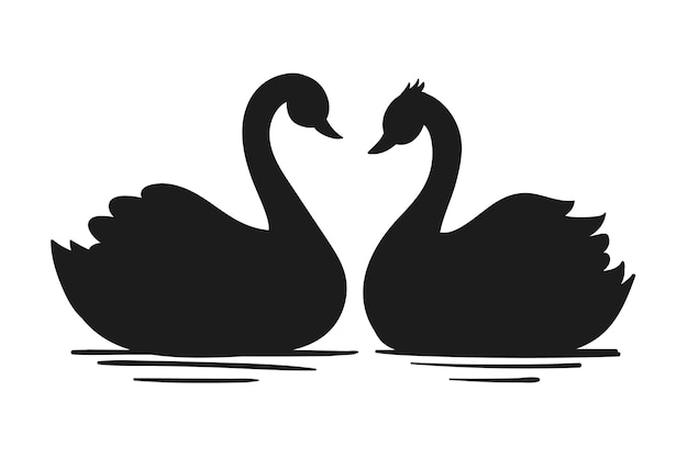 Swan couple illustration