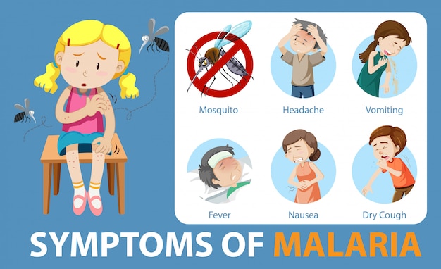 Free Vector symptoms of malaria cartoon style infographic