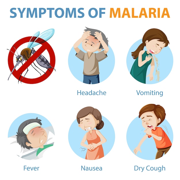 Symptoms of malaria cartoon style infographic