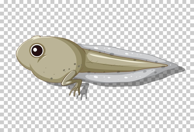 Free Vector a tadpole in flat cartoon style