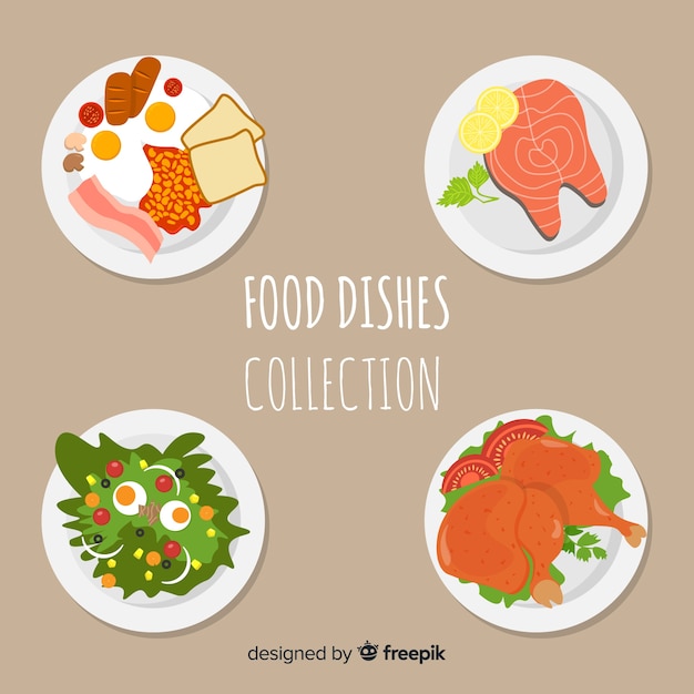 Tasty food dish collection