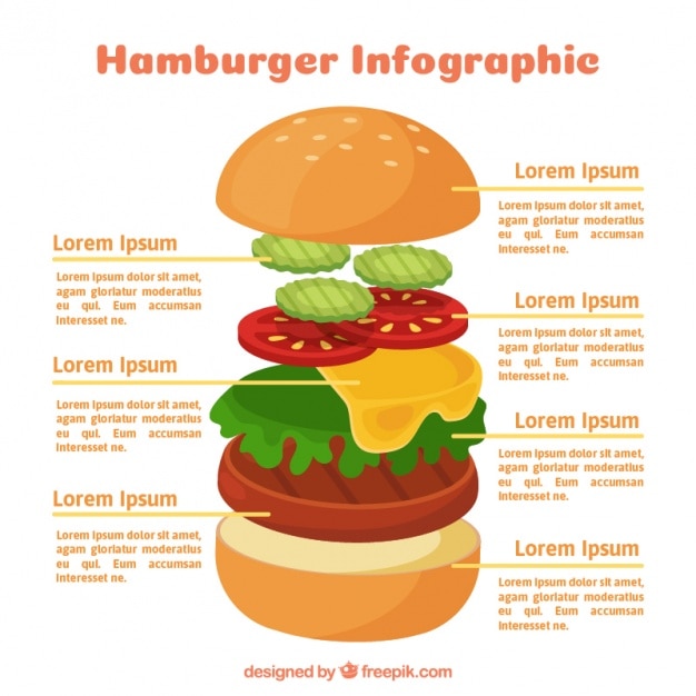 Free Vector tasty hamburger infographic