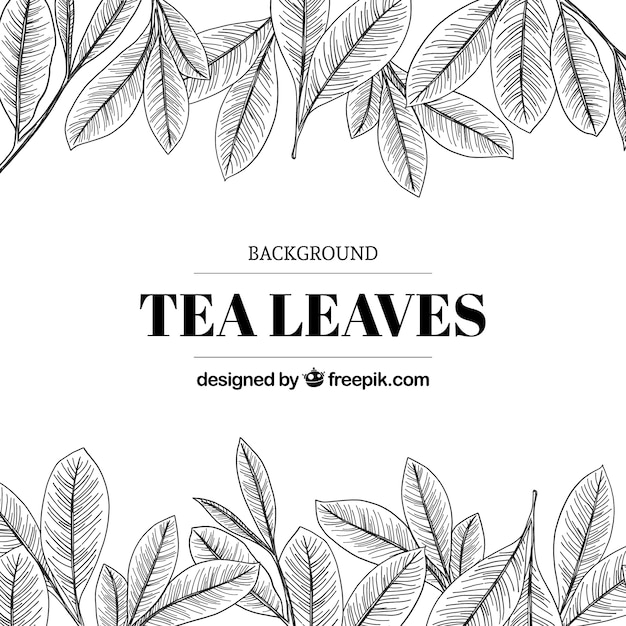 Tea background with leaves