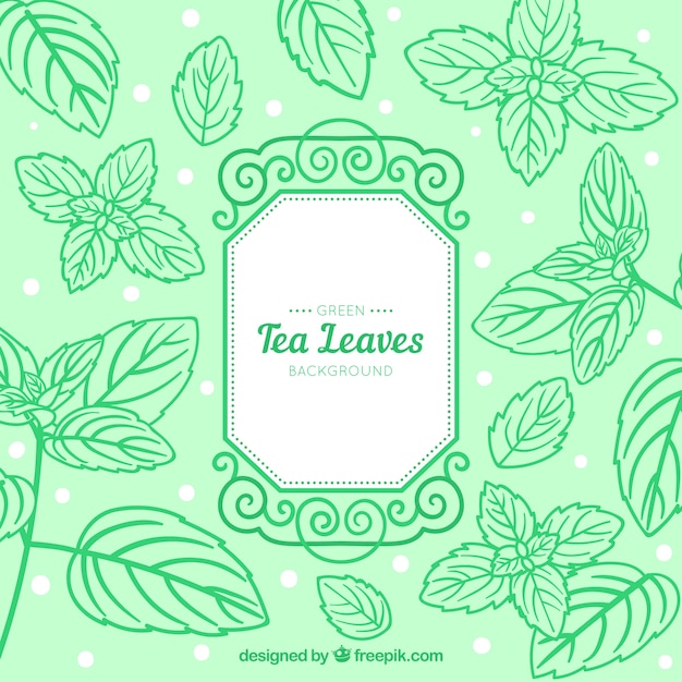 Free Vector tea background with leaves