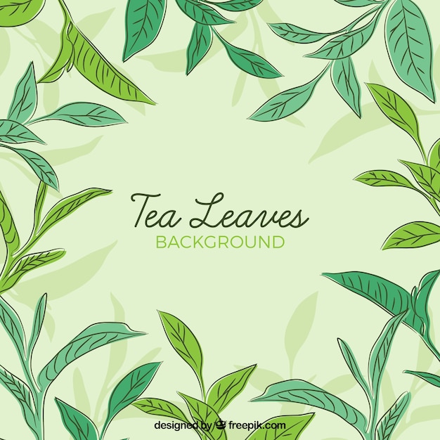 Tea leaves background in hand drawn style