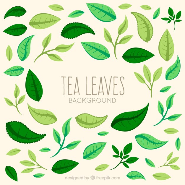 Tea leaves background in hand drawn style