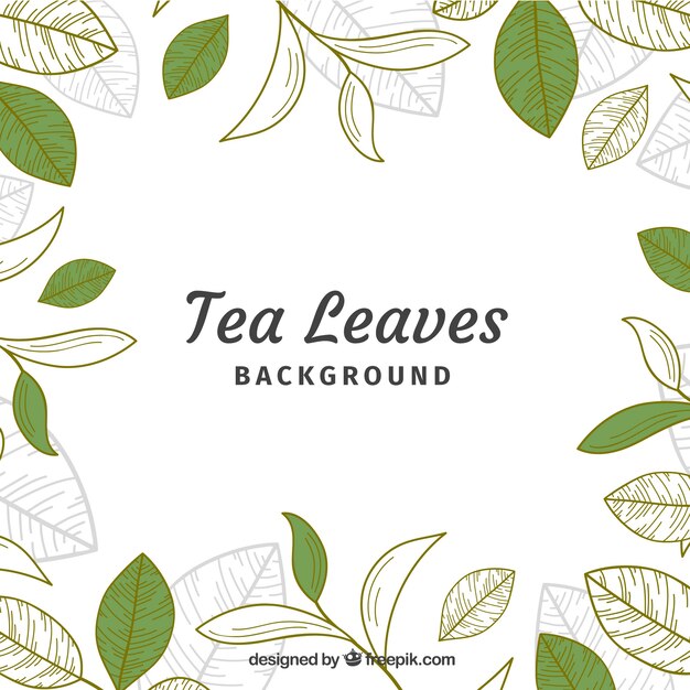 Tea leaves background in hand drawn style