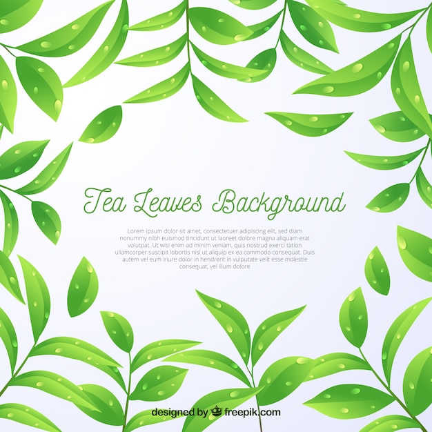 Tea leaves background in realistic style