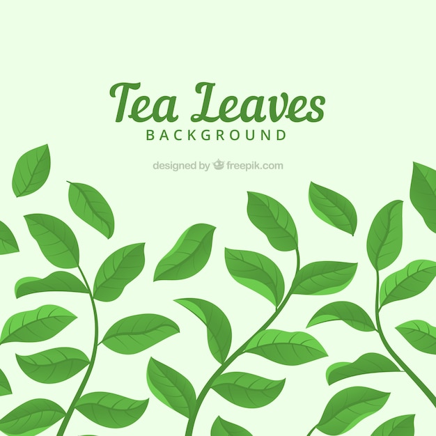 Tea leaves background with different plants