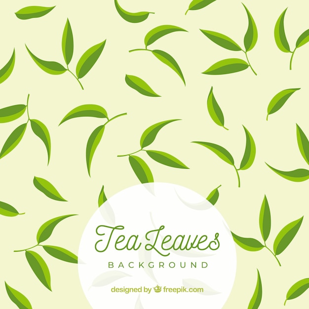 Tea leaves background with flat design