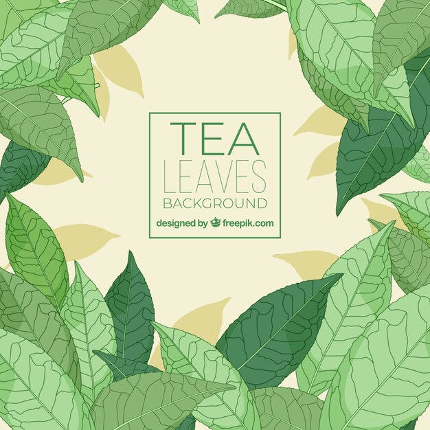 Tea leaves background with flat design