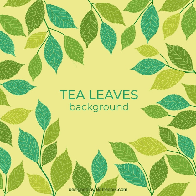 Tea leaves background with flat design