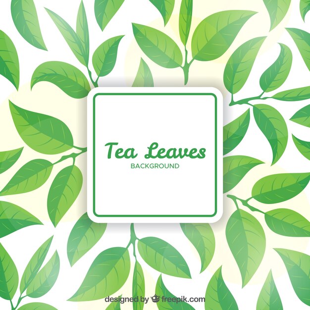 Tea leaves background with flat design