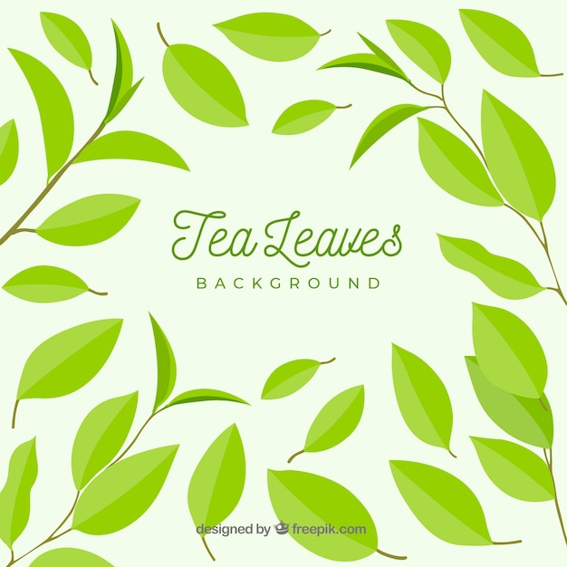 Tea leaves background with flat design