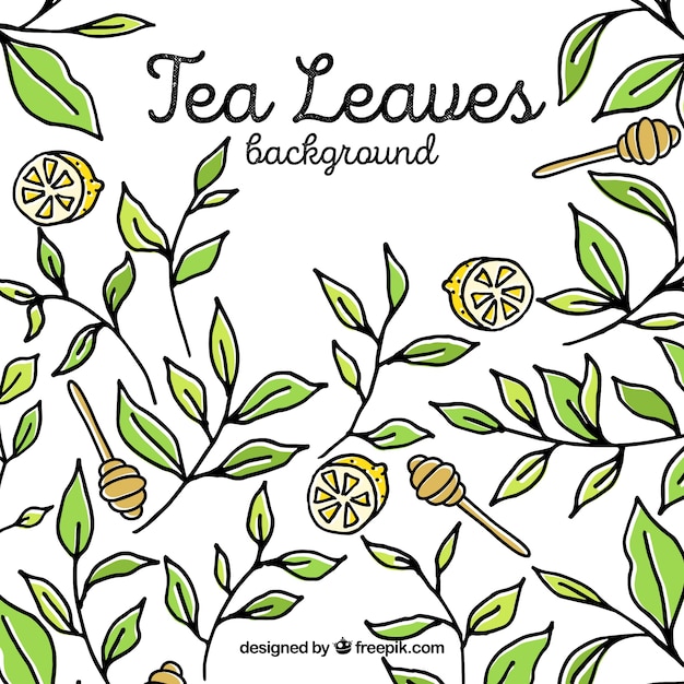 Tea leaves background with hand drawn style