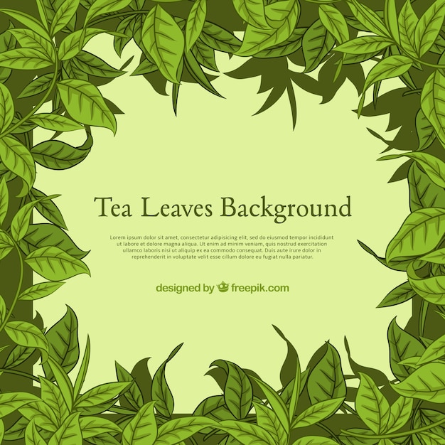 Tea leaves background with plants